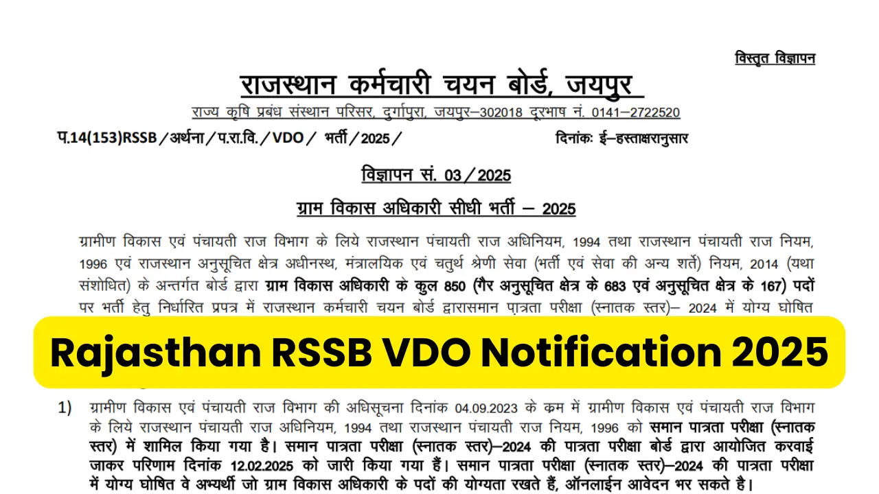 Rajasthan RSSB VDO Notification 2025